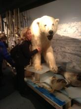 Royal and Ancient Polar Bear Society museum, Hammerfest, Norway