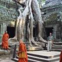 Angkor Wat - Ta Prohm Temple