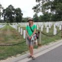 Arlington cemetery