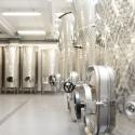 The fermentation room