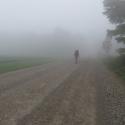 Me in the Fog